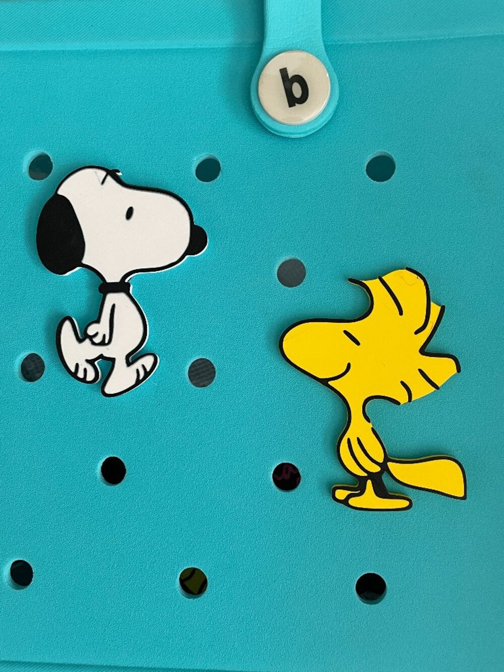 Snoopy and Woodstock Bogg Charms-Retro Bogg Charms-B Stock